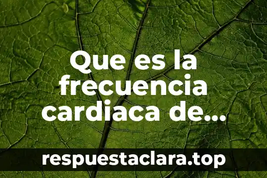 Que es la frecuencia cardiaca de actividad
