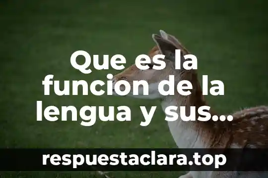 Que es un conector y cual es su funcion 5 Que es la funcion de la lengua y sus variantes