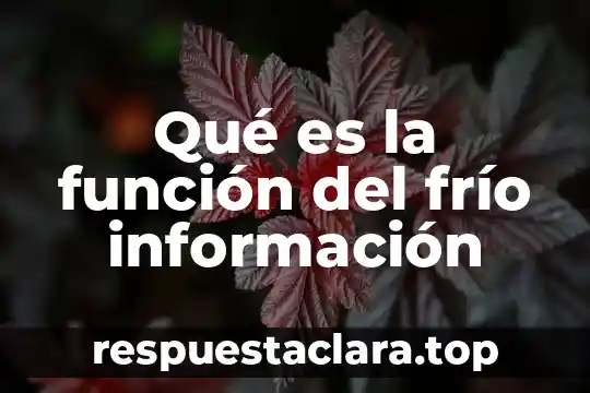 Qué es una función pedagógica de gestión 3 Qué es la función del frío información