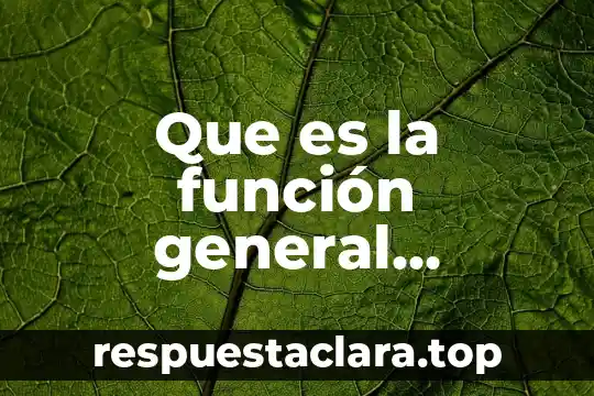 Que es la función general jurídica en el cepci