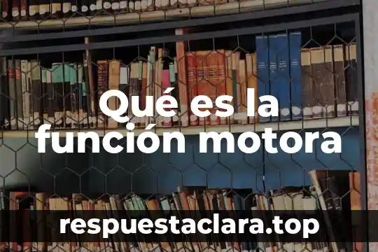 Que es el humor vitreo y que funcion cumple 4 Qué es la función motora