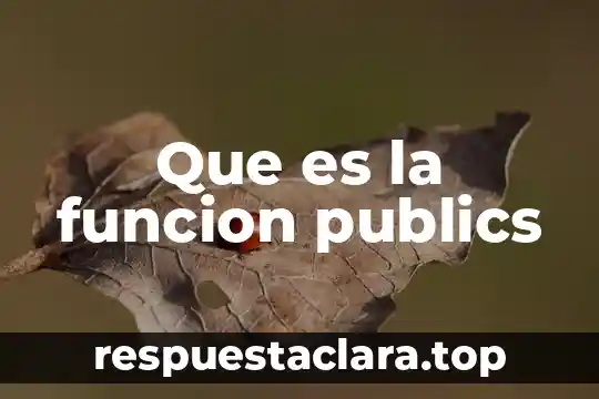 Que es la funcion publics
