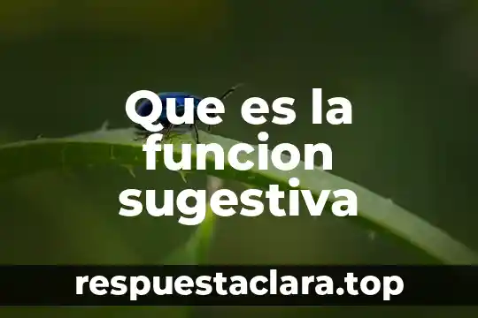 Que es el humor vitreo y que funcion cumple 7 Que es la funcion sugestiva