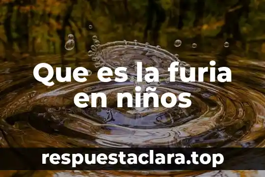 Que es la furia en niños