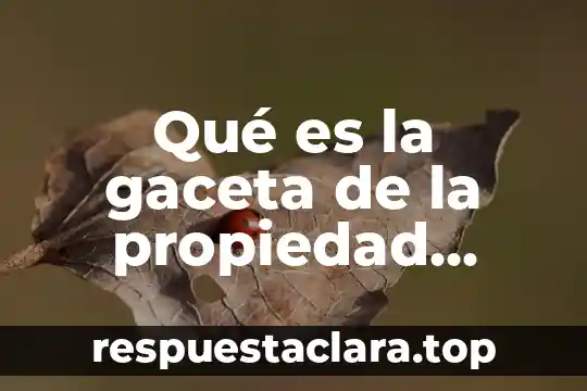 Que es la propiedad como derecho real 4 Qué es la gaceta de la propiedad industrial