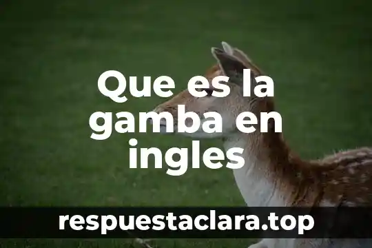 Que es la gamba en ingles