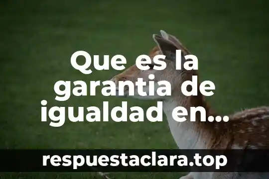 Que es igualdad segun la constitucion mexicana 8 Que es la garantia de igualdad en mexico