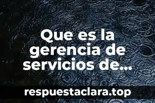Que es la gerencia de servicios de salud