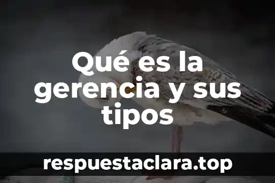 Qué es la gerencia y sus tipos