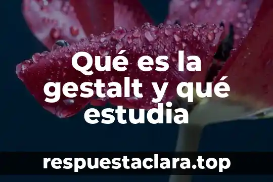 Que es un la figura del comerciante 3 Qué es la gestalt y qué estudia