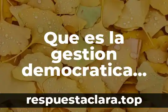 Qué es la educación ambiental definición 6 Que es la gestion democratica del riesgo ambiental