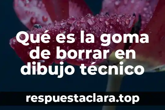Dibujo de lo que es decir la verdad 5 Qué es la goma de borrar en dibujo técnico