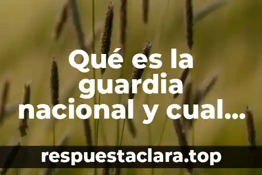 Qué es la guardia nacional y cual es su funcion
