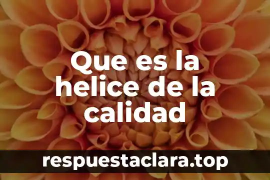 Que es la helice de la calidad
