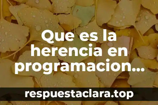Que es la herencia en programacion de objetos