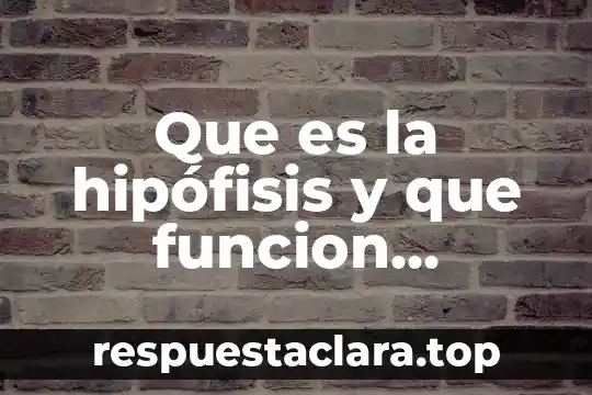 Que es la hipófisis y que funcion cumple