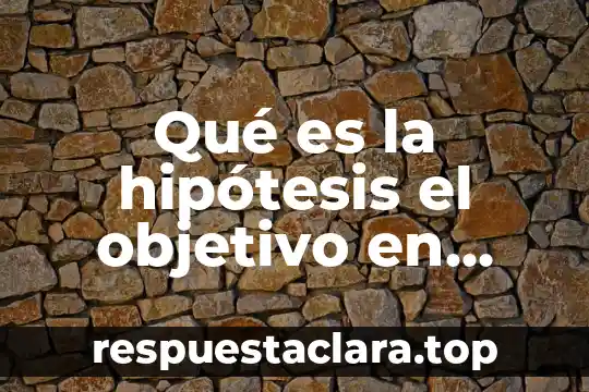 Qué es la hipótesis el objetivo en metodología de la investigación