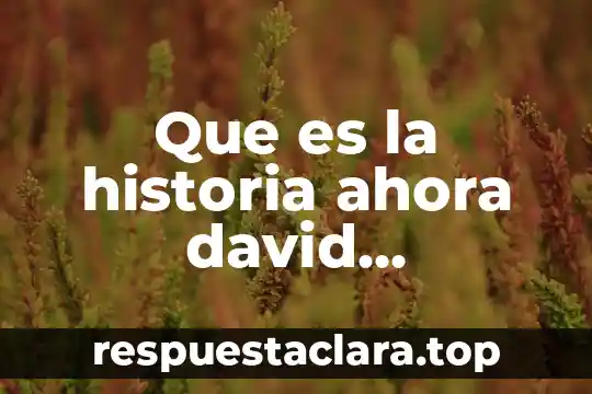 Que es la historia ahora david cannadine idea principal