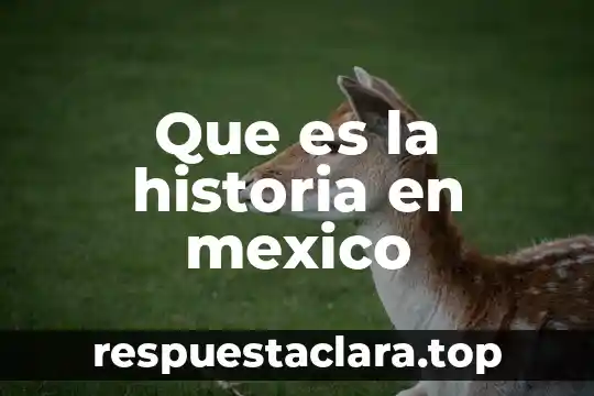 Que es sintaxis en arquitectura 3 Que es la historia en mexico