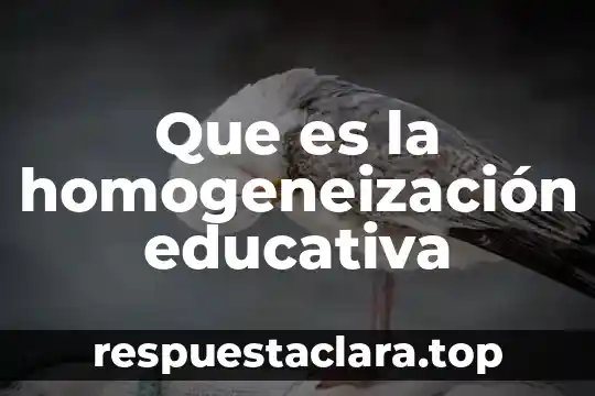 Que es la homogeneización educativa