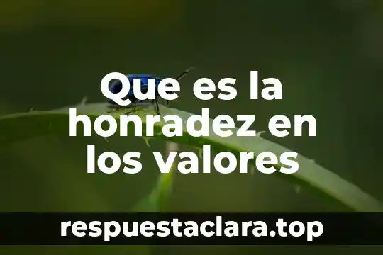 Que es la bolsa de valores historia 3 Que es la honradez en los valores