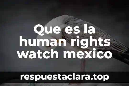 Que es la human rights watch mexico