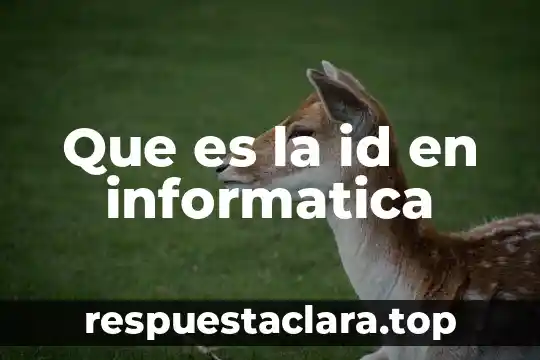 Que es la id en informatica