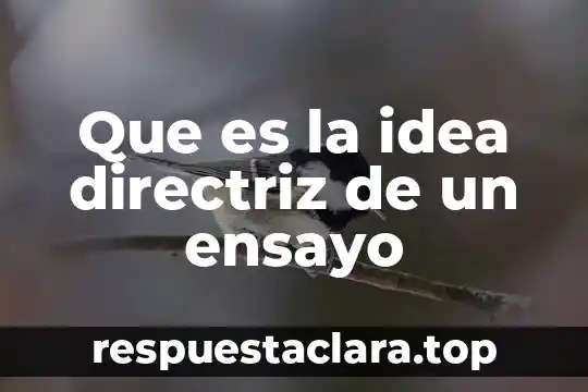 Que es la idea directriz de un ensayo