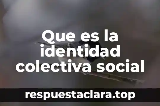 Que es la identidad colectiva social