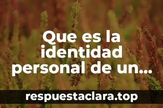 Que es el estado natural para rousseau 3 Que es la identidad personal de un estado
