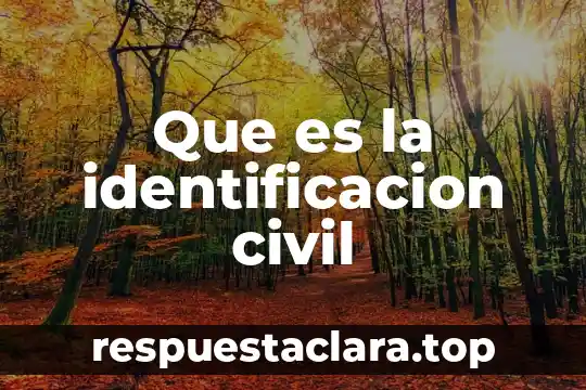 Que es la identificacion civil
