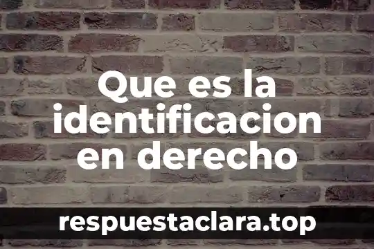 Que es la identificacion en derecho