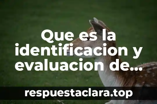 Que es la identificacion y evaluacion de riesgos
