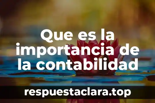 Que es la responsabilidad y cual es su importancia 5 Que es la importancia de la contabilidad