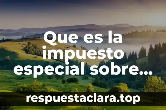 Que es la impuesto especial sobre producción y servicios