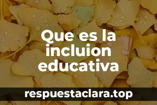 Que es la incluion educativa