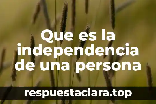 Que es la ciudadania en la independencia de mexico 3 Que es la independencia de una persona