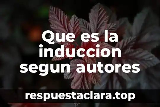 Que es la induccion segun autores