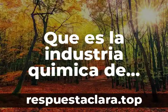 Que es la industria quimica de transformacion