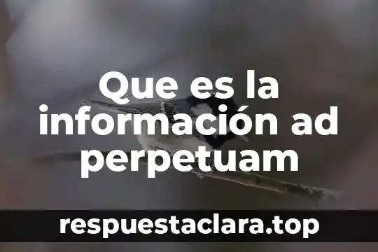 Que es la información ad perpetuam