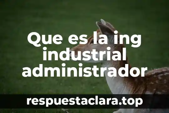 Que es la ing industrial administrador