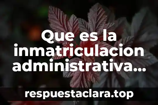 Ensayo sobre que es el desarrollo humano 6 Que es la inmatriculacion administrativa ensayo