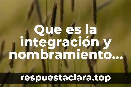 Que es la integración y nombramiento en derecho