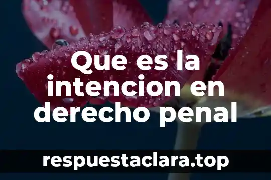 Que es la intencion en derecho penal