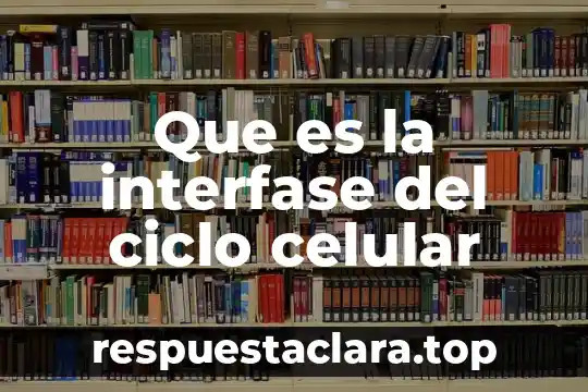 Que es la interfase del ciclo celular