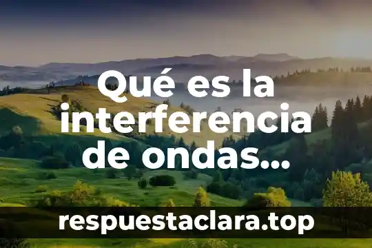 Qué es la interferencia de ondas mecánicas