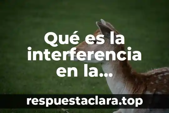 Qué es la interferencia en la comunicación