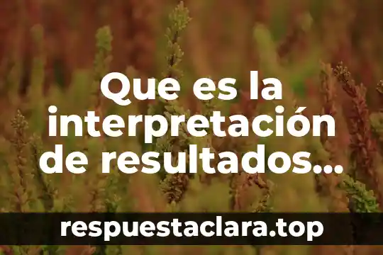 Que es la interpretación de resultados investigacion de operaciones