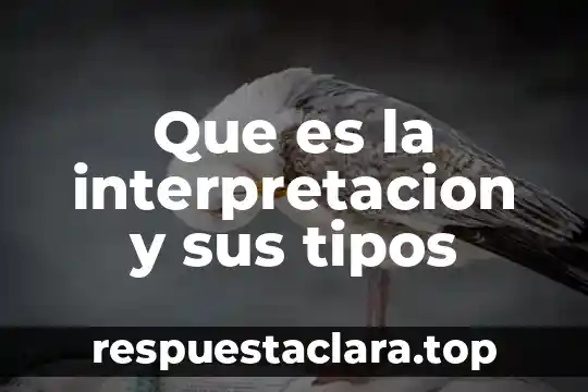 Que es la interpretacion y sus tipos