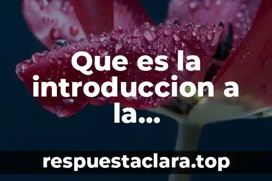 Que es la arquitectura de software orientada a servicios soa 7 Que es la introduccion a la programacion orientada a objetos